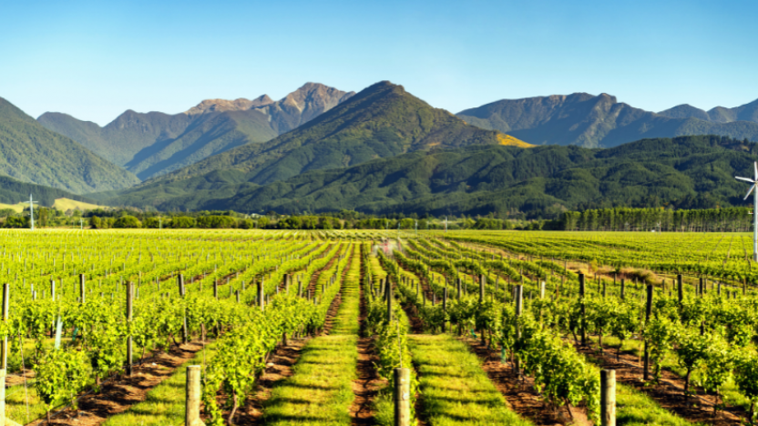 Marlborough, New Zealand