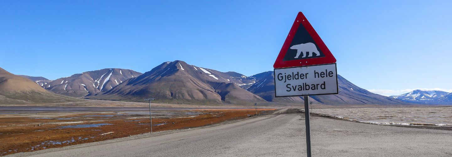Credit: Schibsted Partnerstudio / Hurtigruten Svalbard
