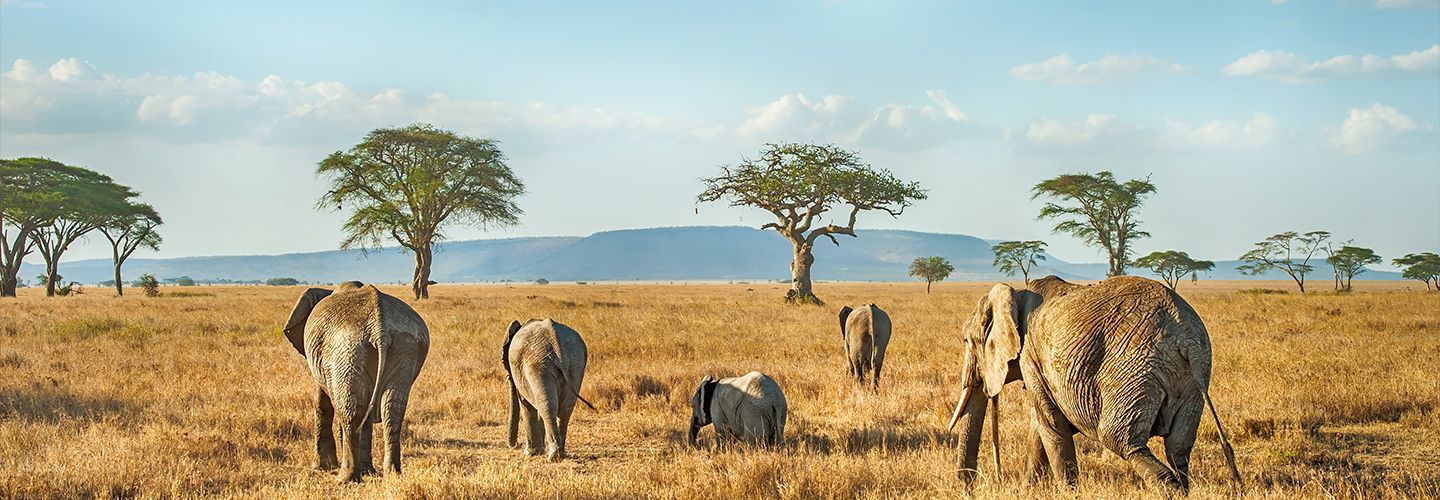 Africa