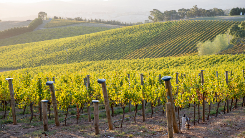 Adelaide Hills